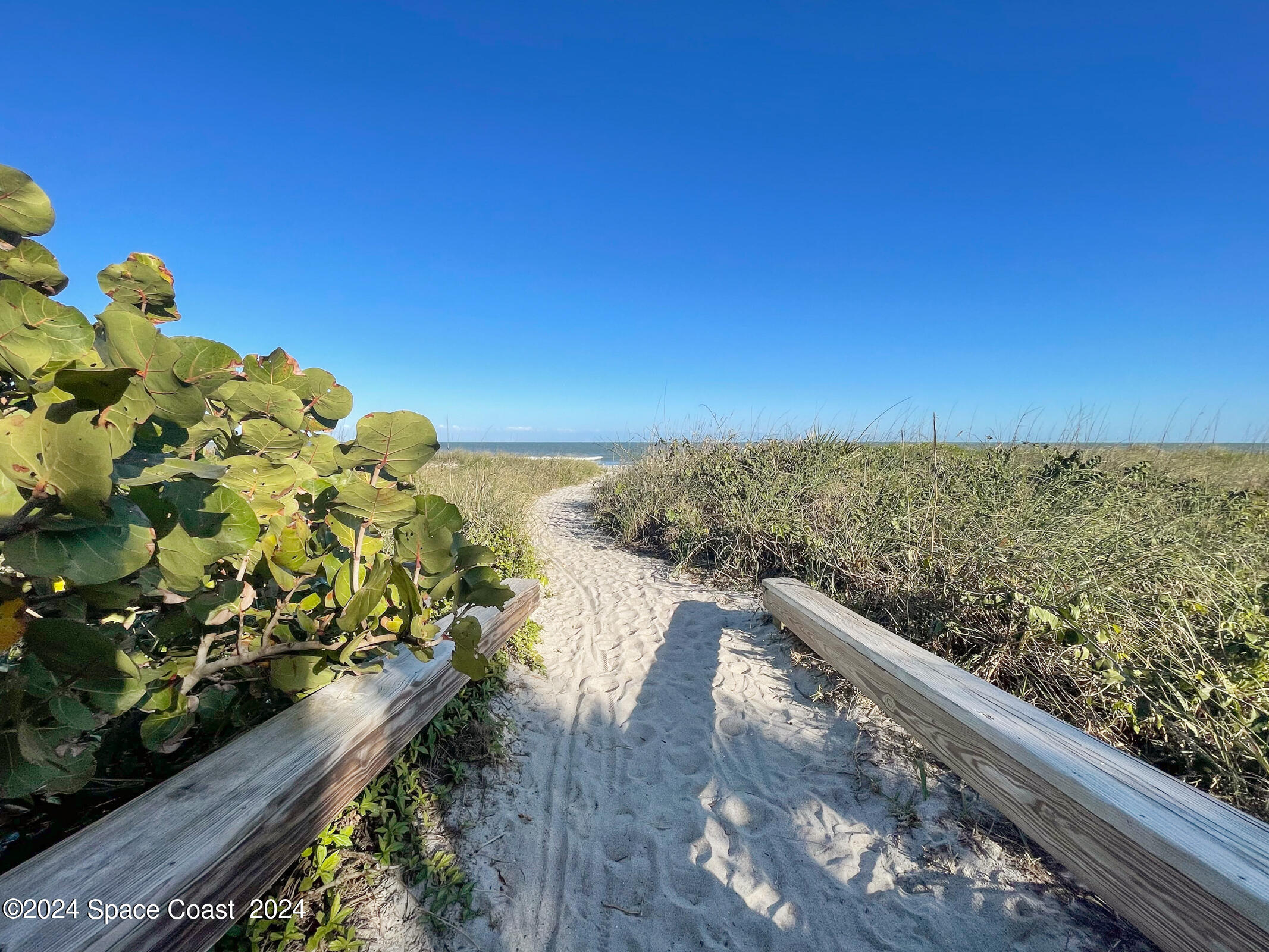 8494 Ridgewood Avenue, 4305