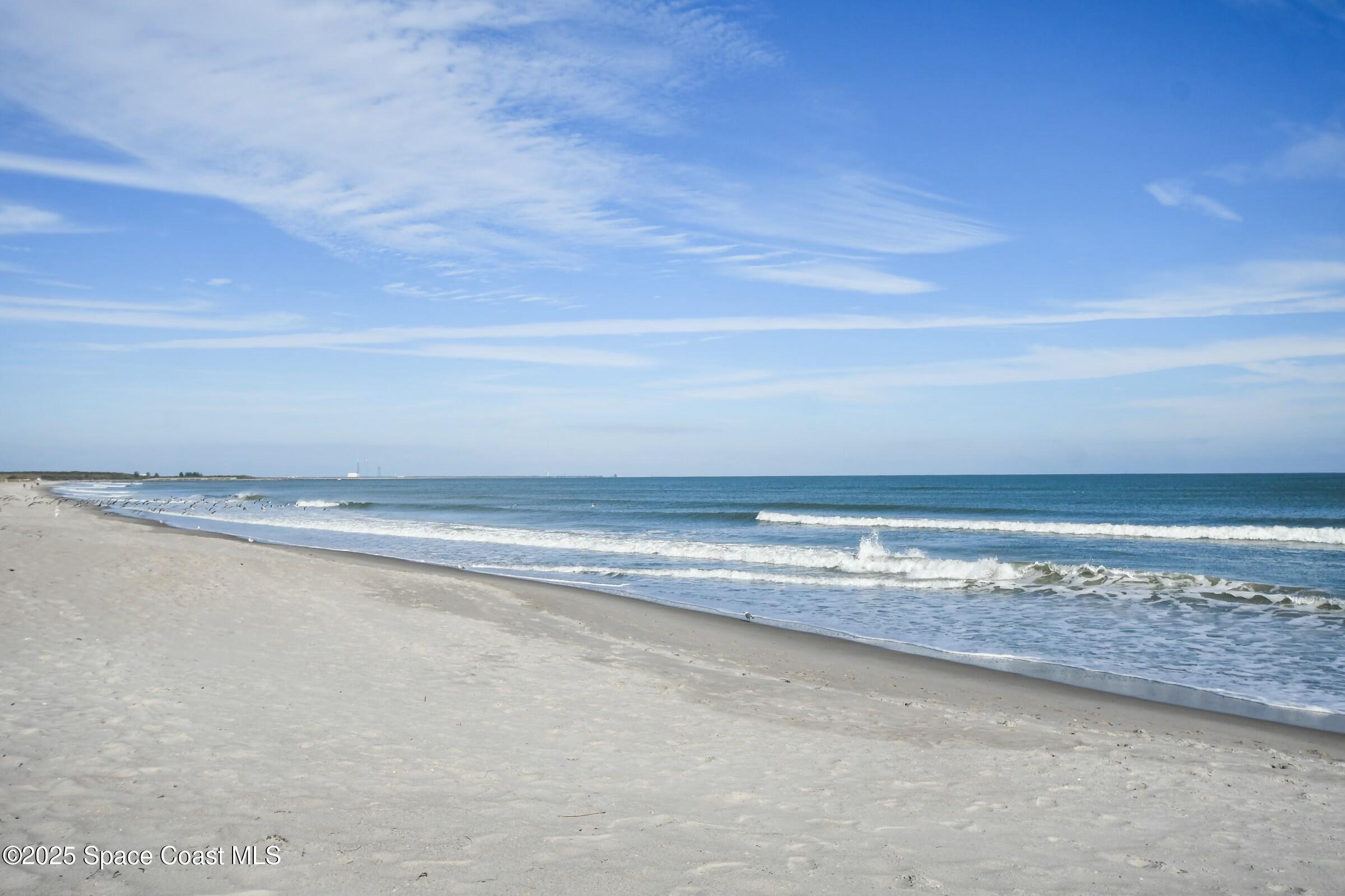 8494 Ridgewood Avenue, 4305