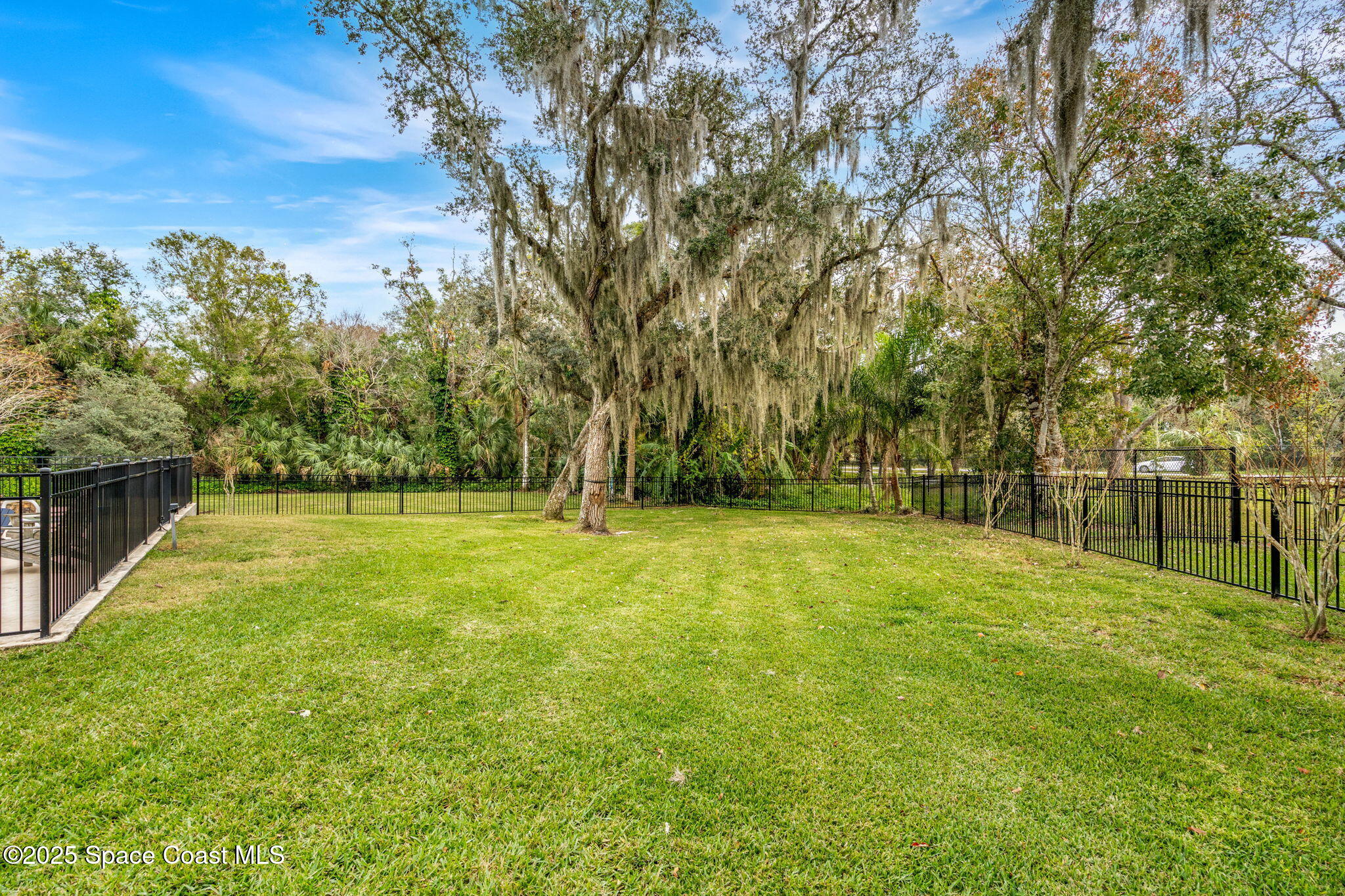 3145 Hilliard Court