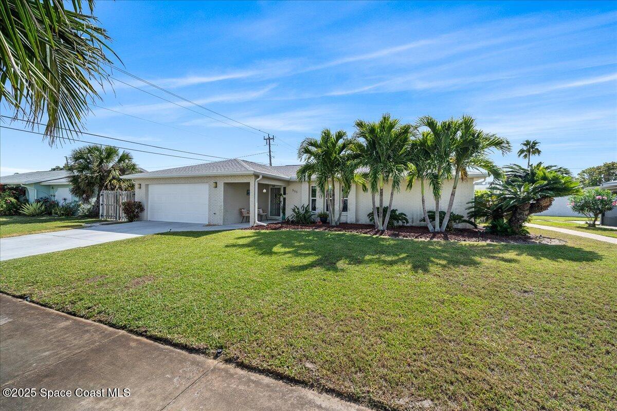 555 Coconut Street