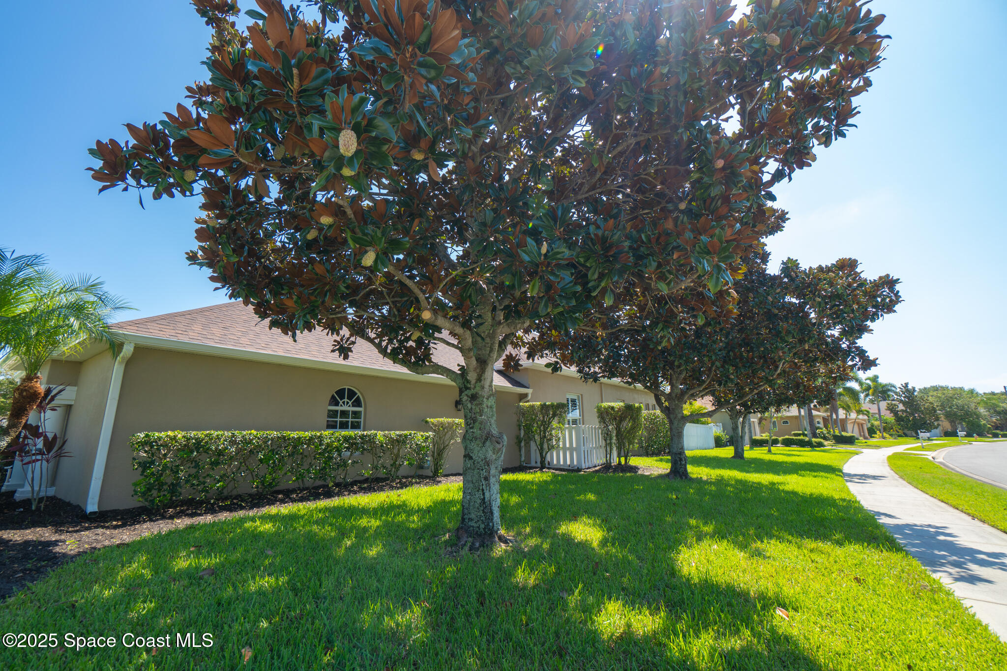 1007 Dowitcher Court