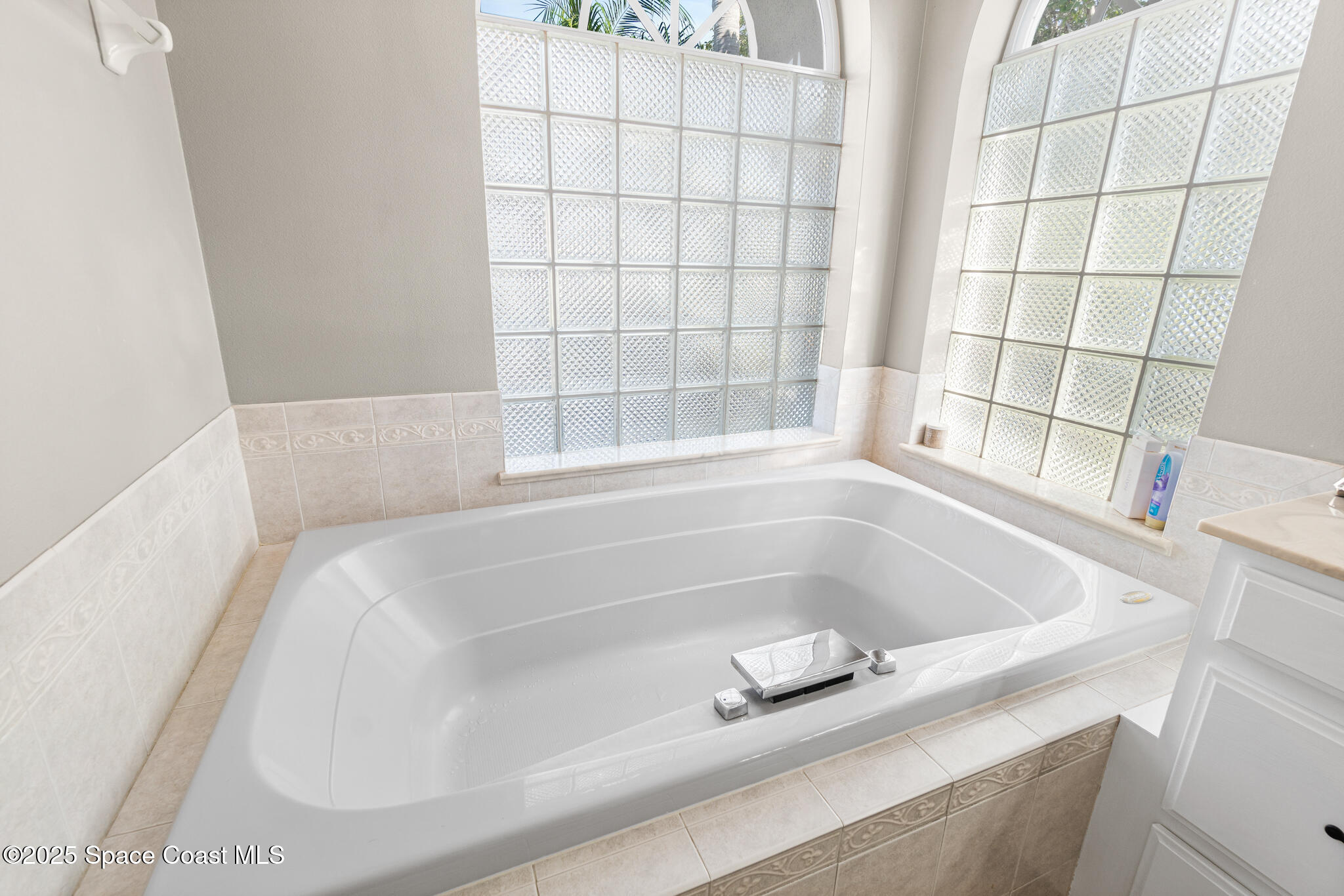 1007 Dowitcher Court