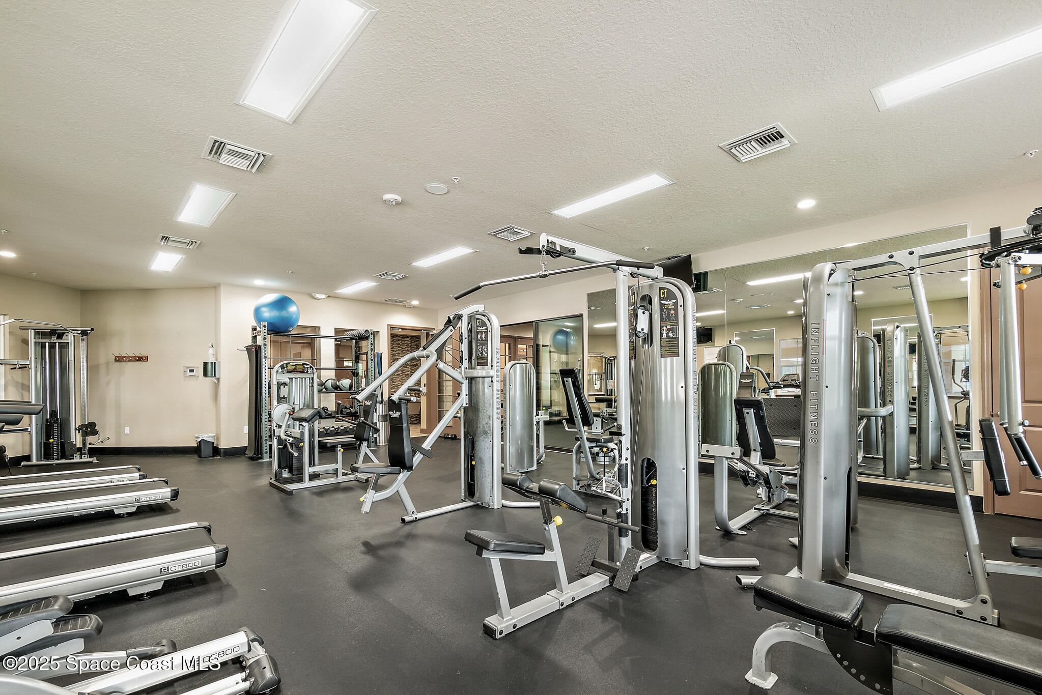 739 Fiddleleaf Circle