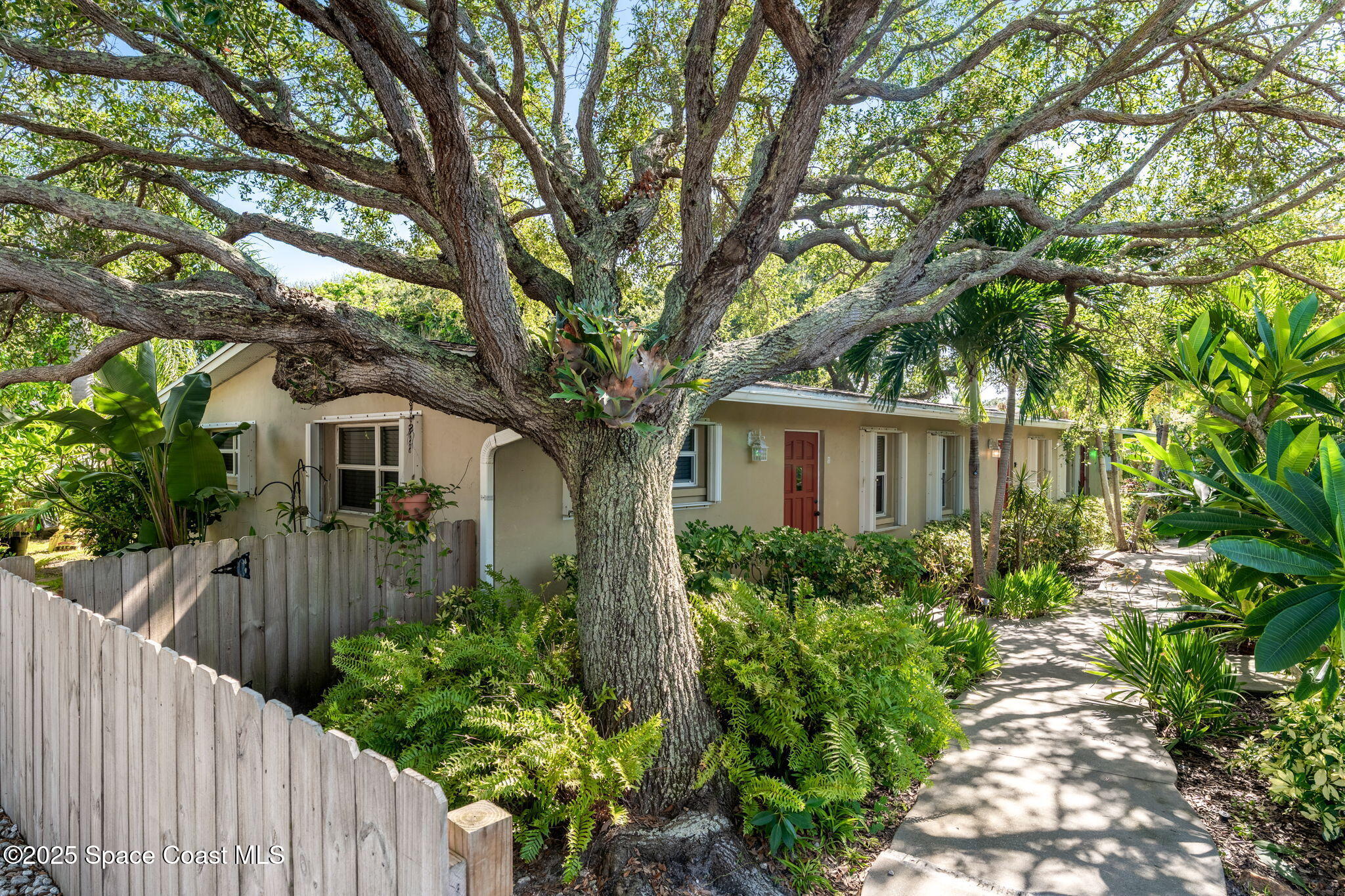 234 Woodland Avenue, 2