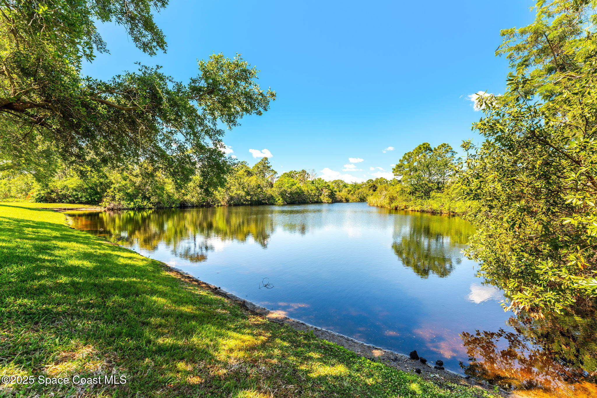 1291 Royal Fern Drive