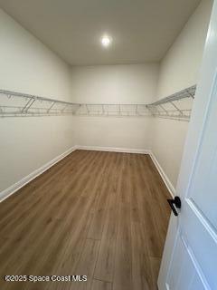 1085 Aranceto Circle