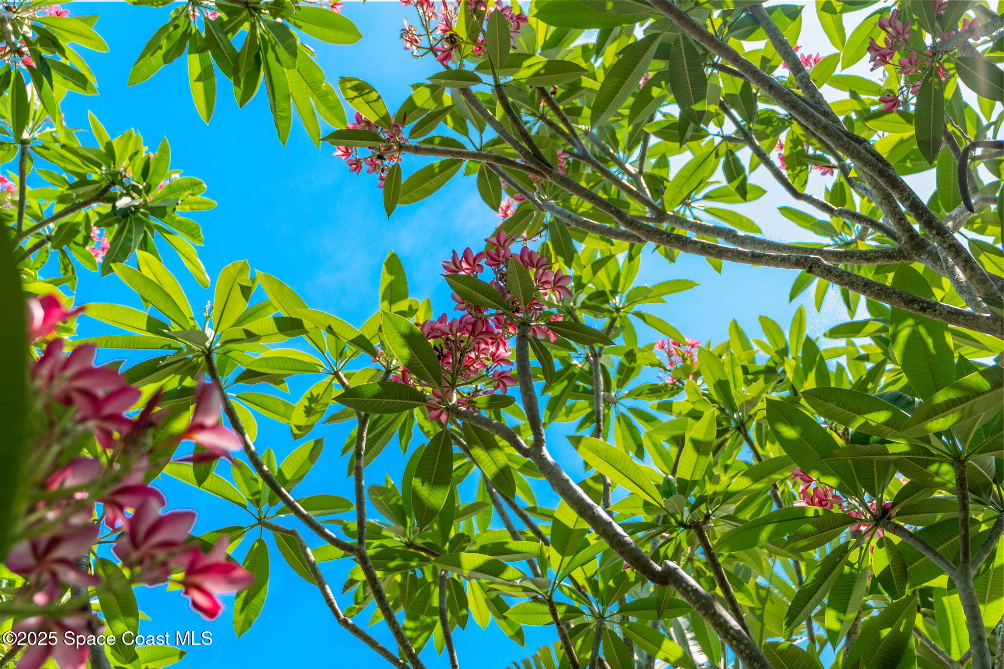 4527 Coquina Ridge Drive