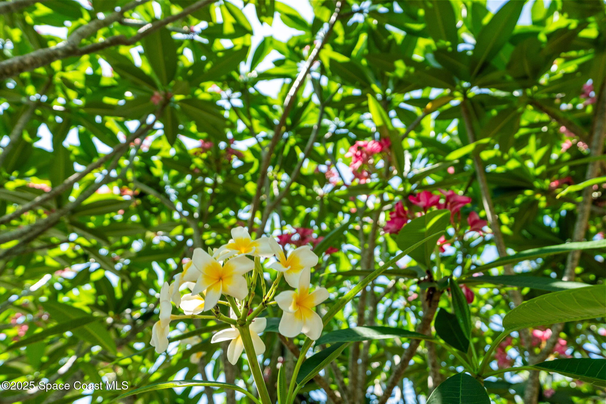 4527 Coquina Ridge Drive