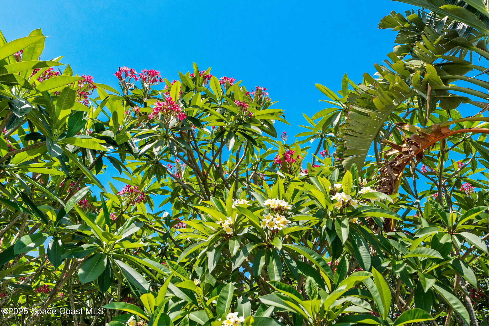 4527 Coquina Ridge Drive