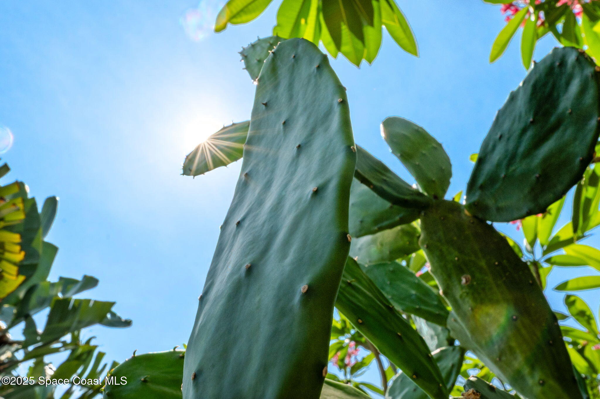 4527 Coquina Ridge Drive