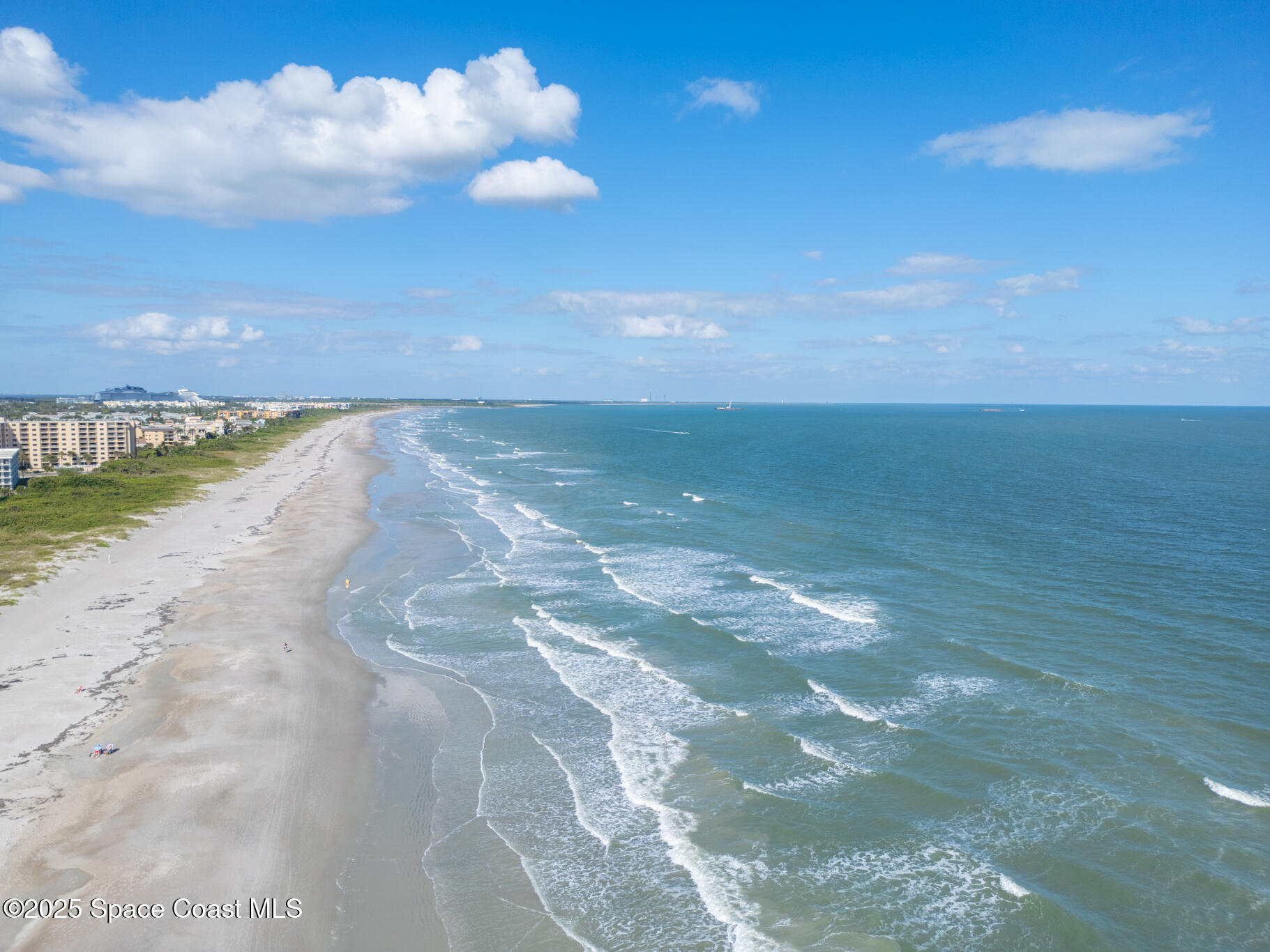 425 Buchanan Avenue 201