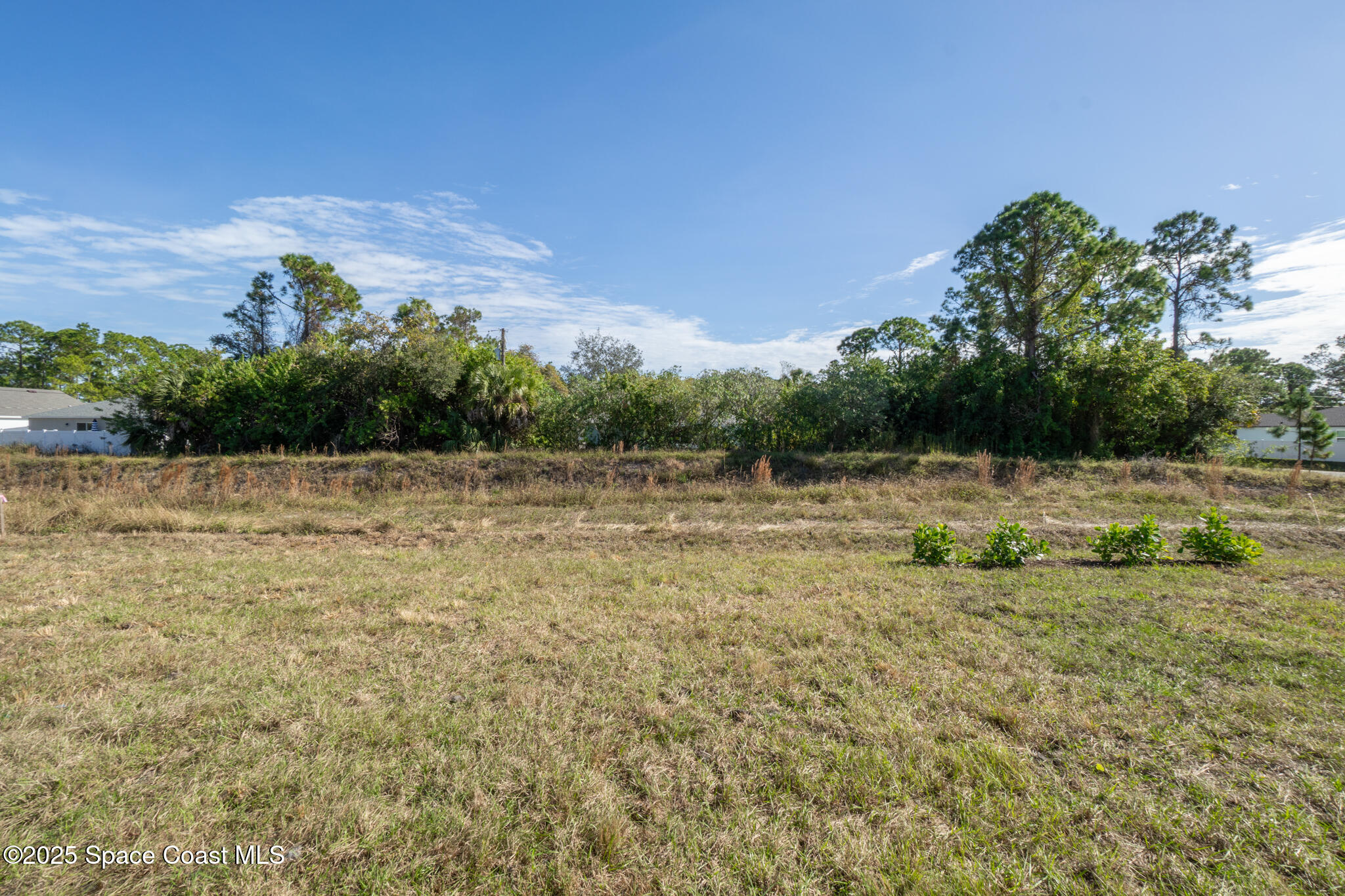 2357 Hagoplan Avenue SW