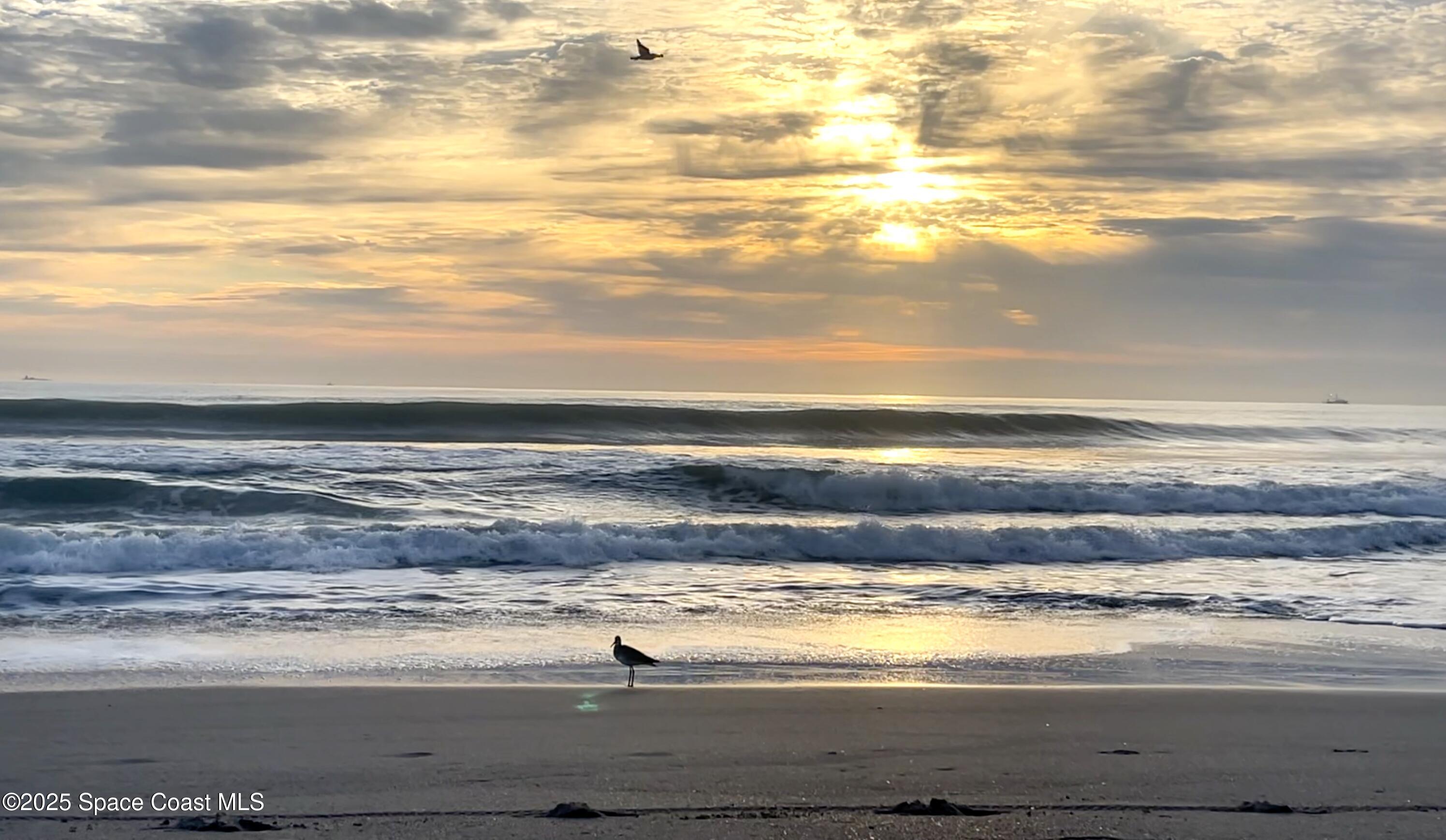 7108 Marbella Court 502