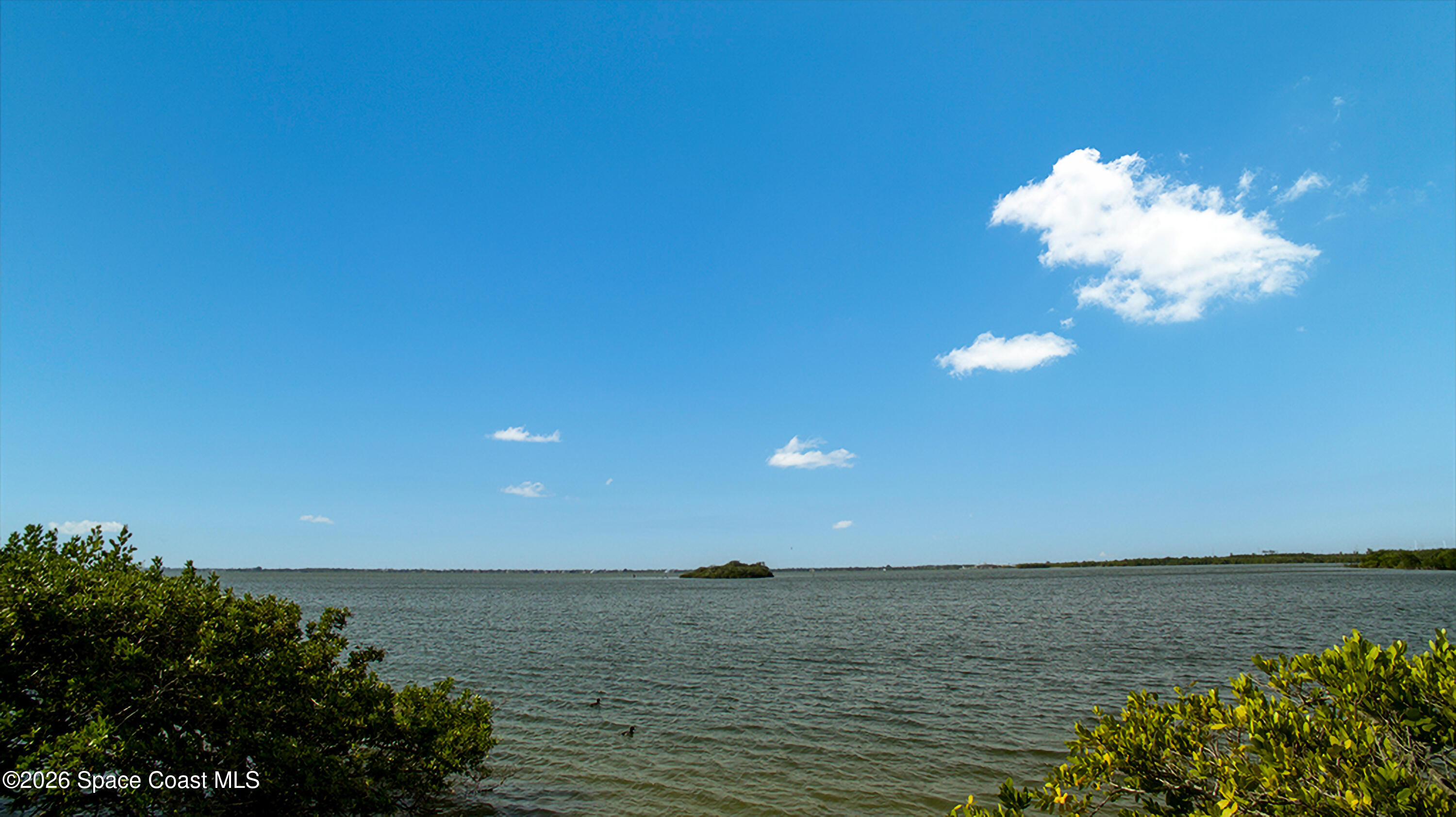 8924 Puerto Del Rio Drive 501