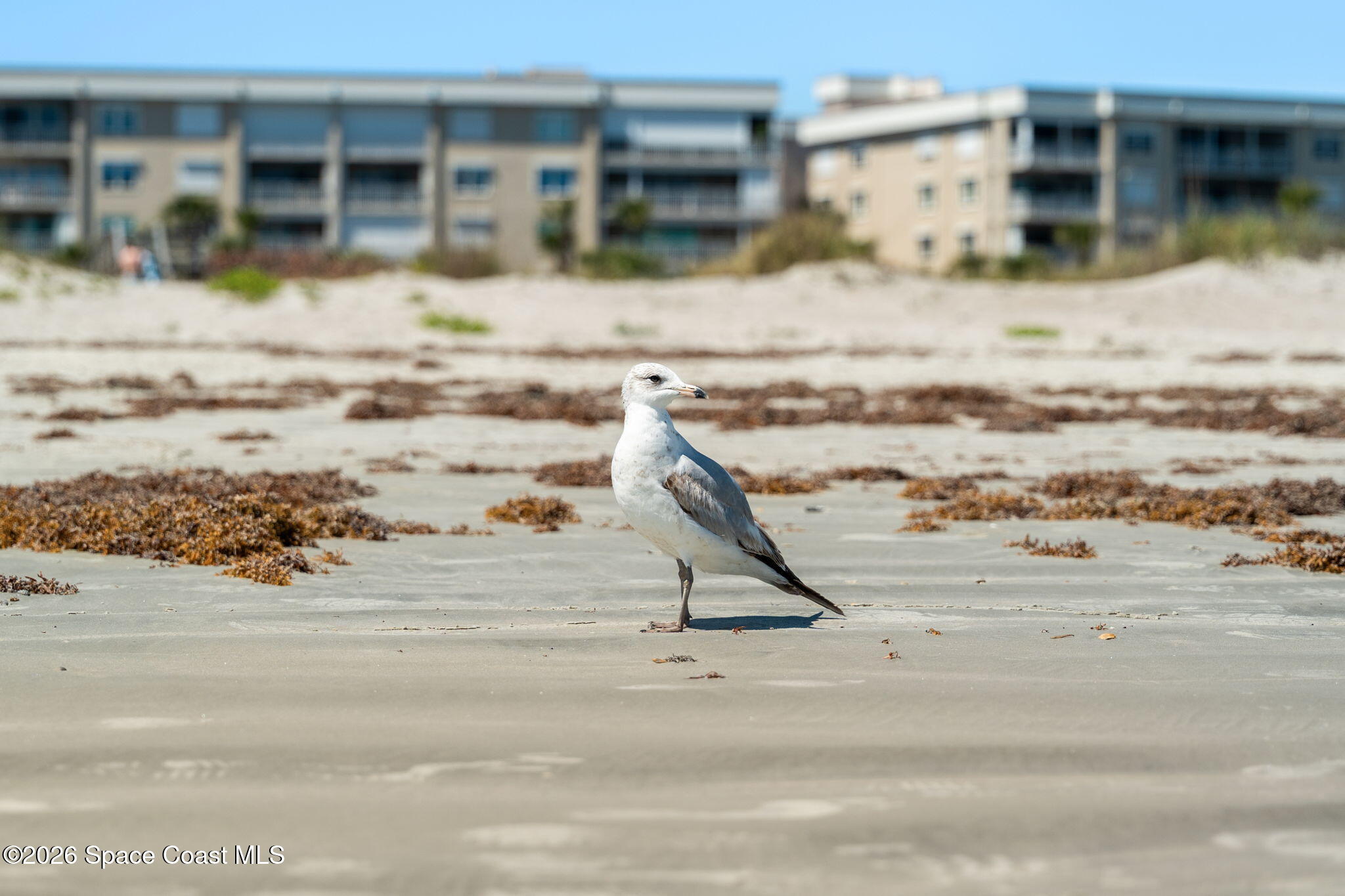 606 Shorewood Drive C308