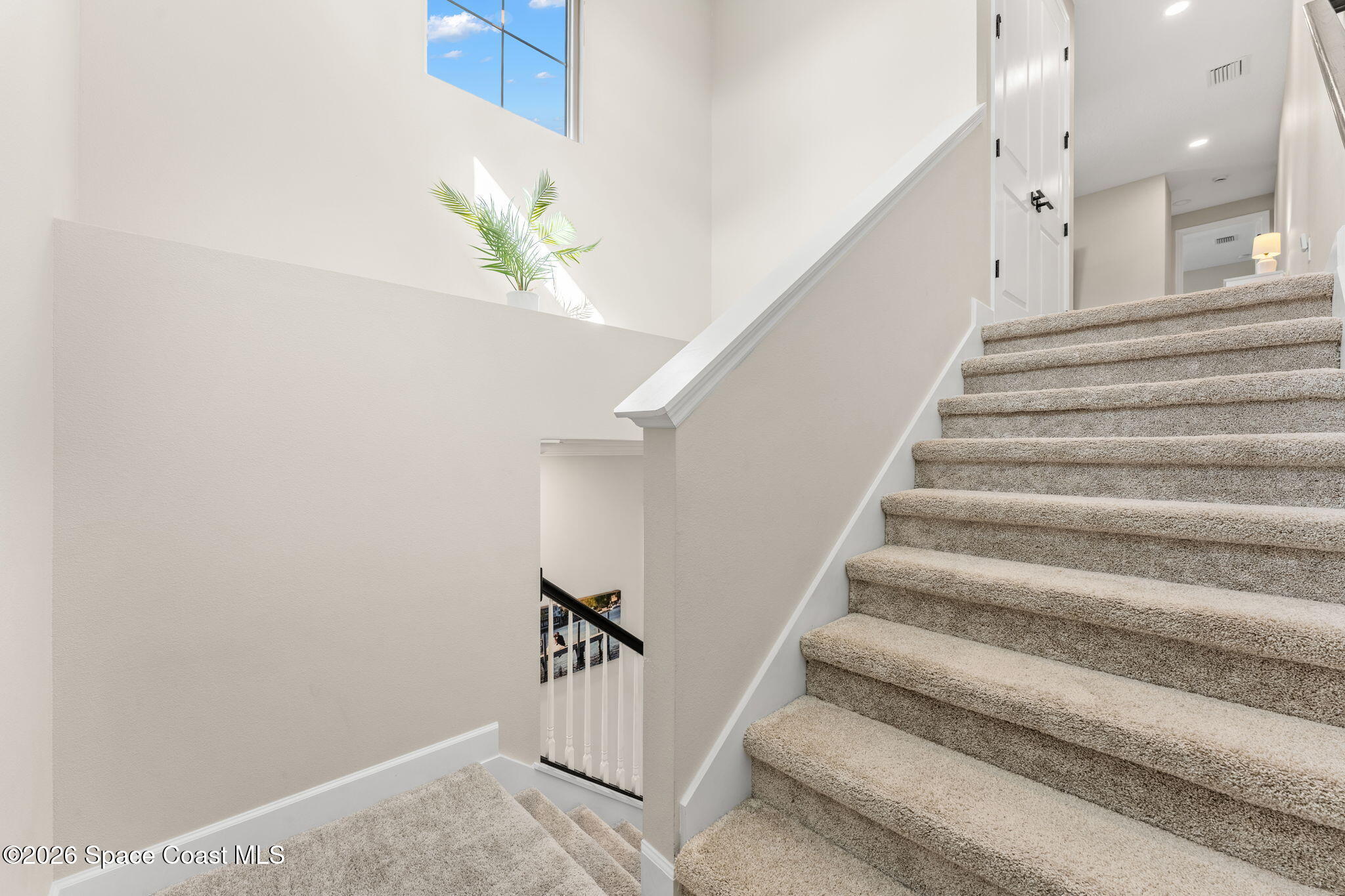2714 Pelagornis Drive