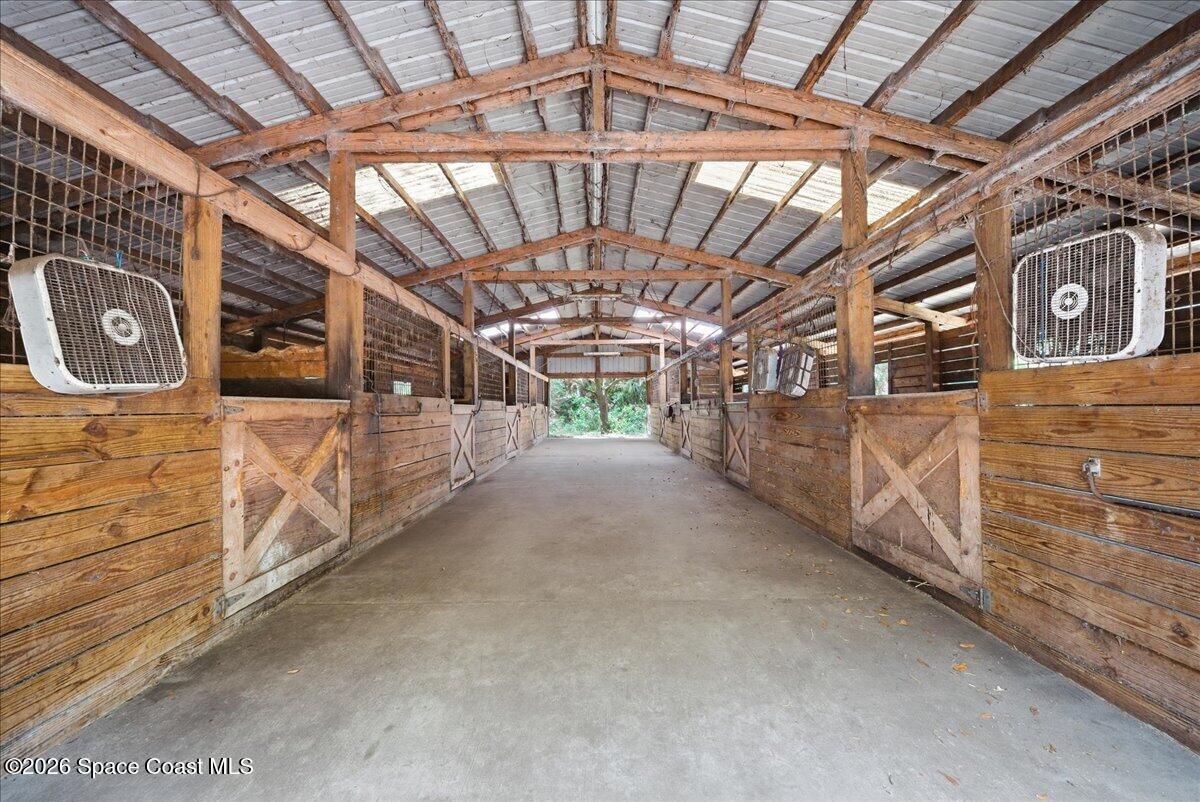 5105 Cabbage Palm Street