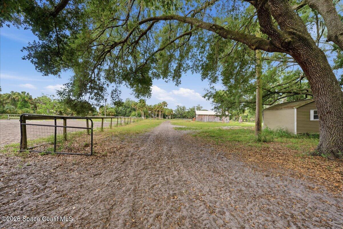 5105 Cabbage Palm Street