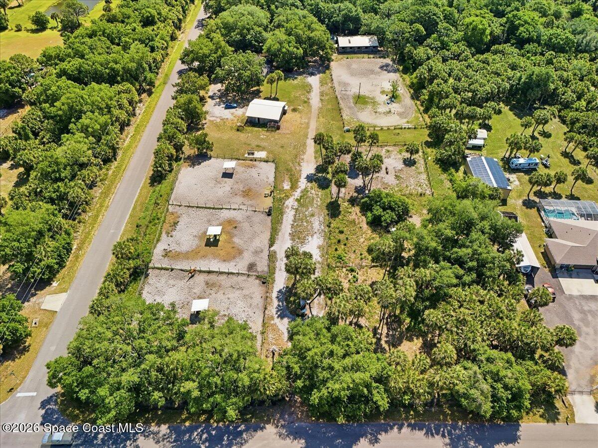 5105 Cabbage Palm Street