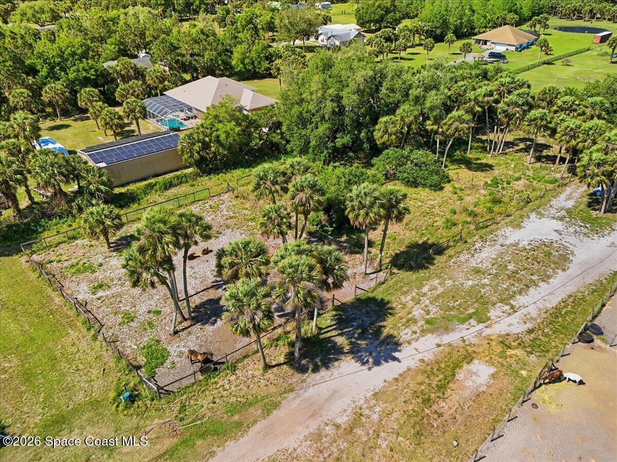 5105 Cabbage Palm Street