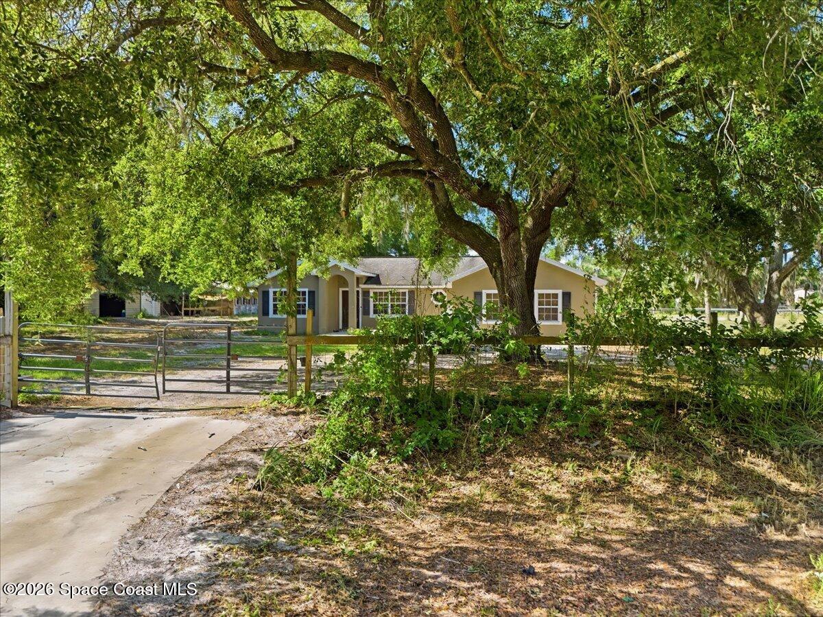 5105 Cabbage Palm Street