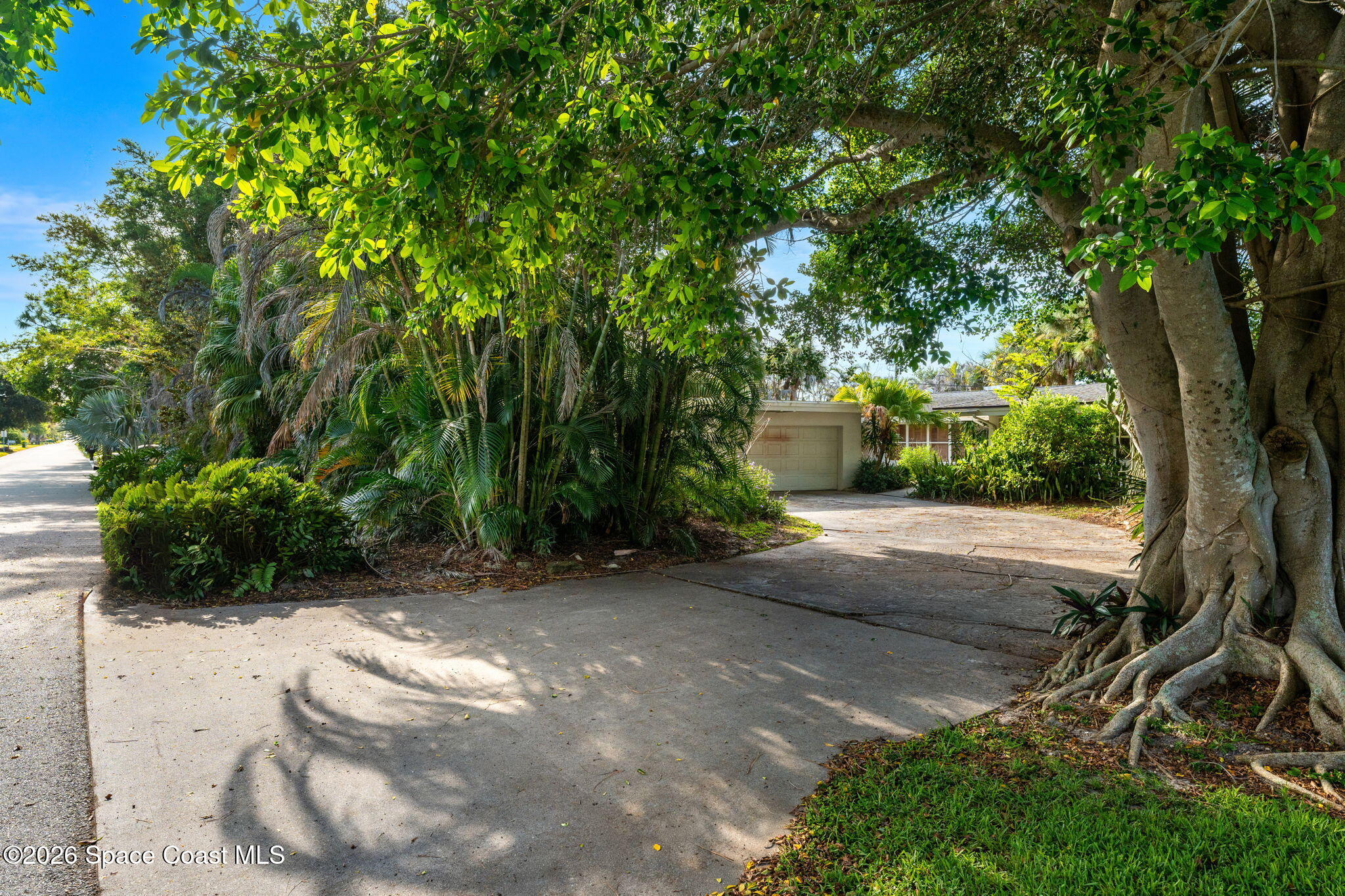 317 Cocoa Avenue