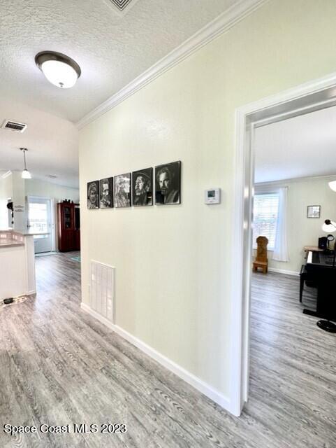 1003 Bird Drive