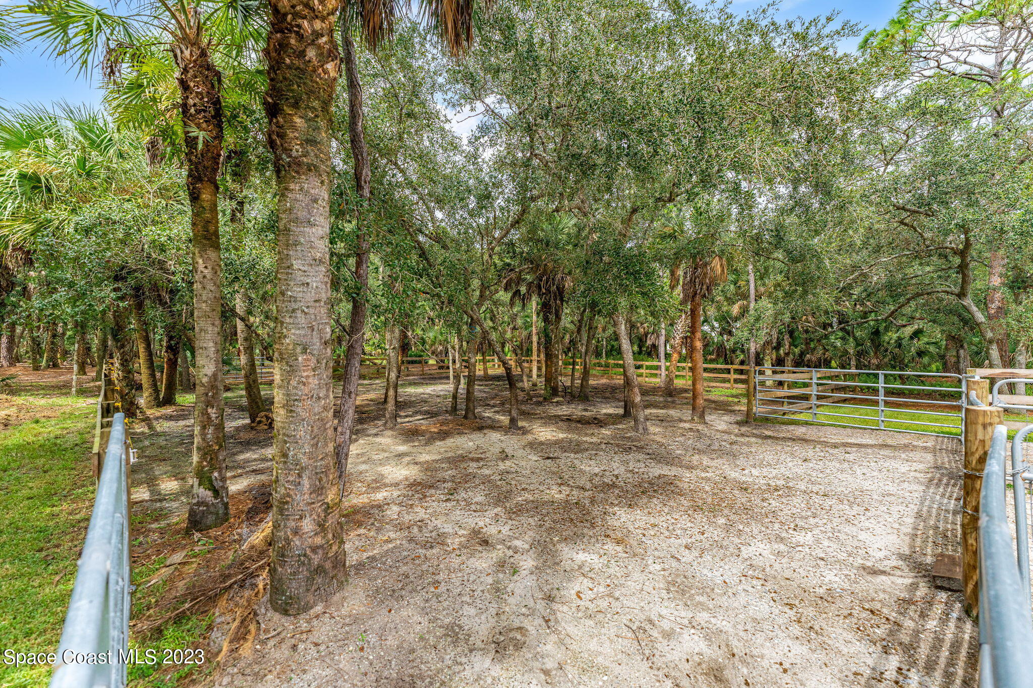 5595 Willoughby Drive