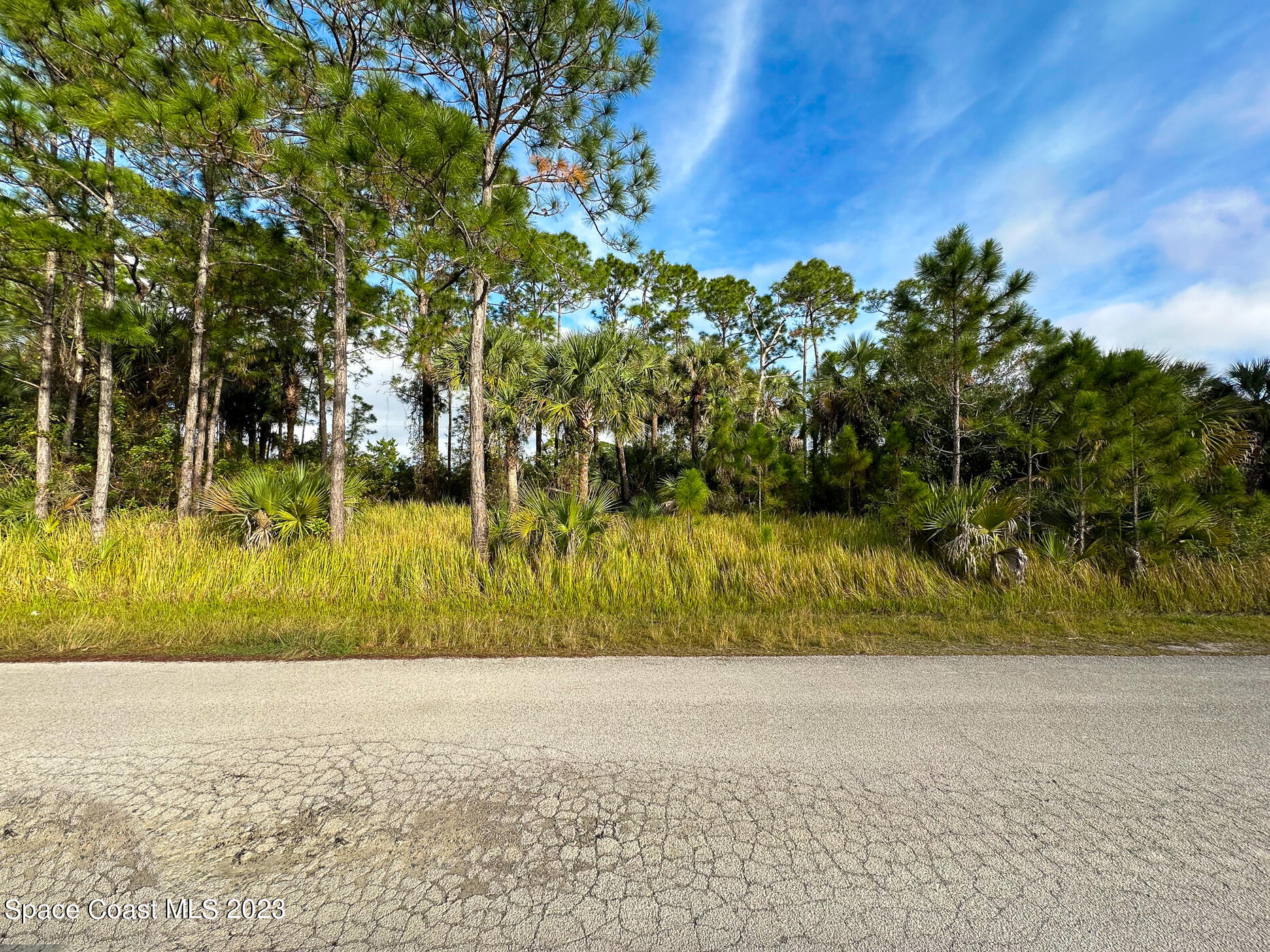 1253 Hathaway Road SW