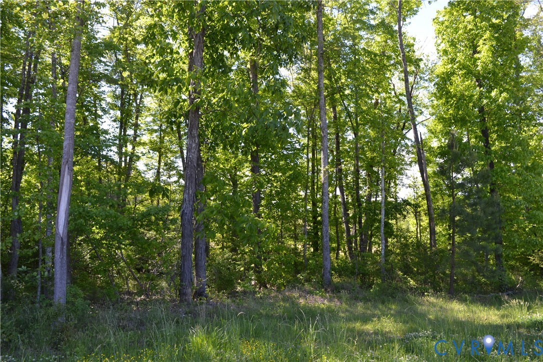 11160 Beaver Bridge Rd