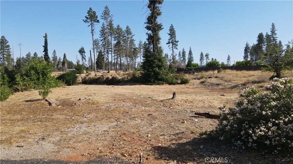 1485 Saint Peters Court