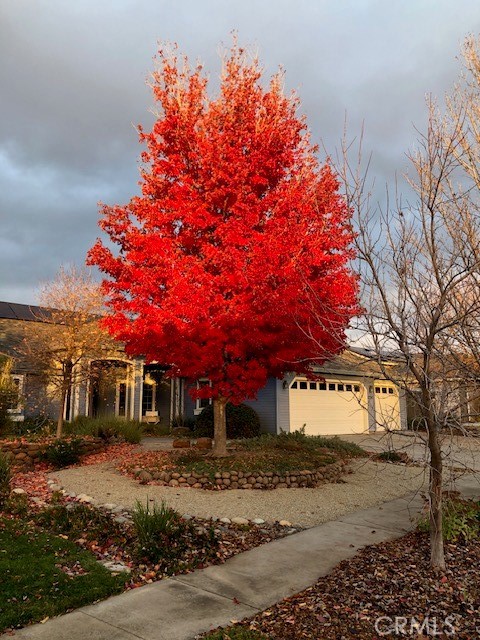 1274 Valley Forge Drive