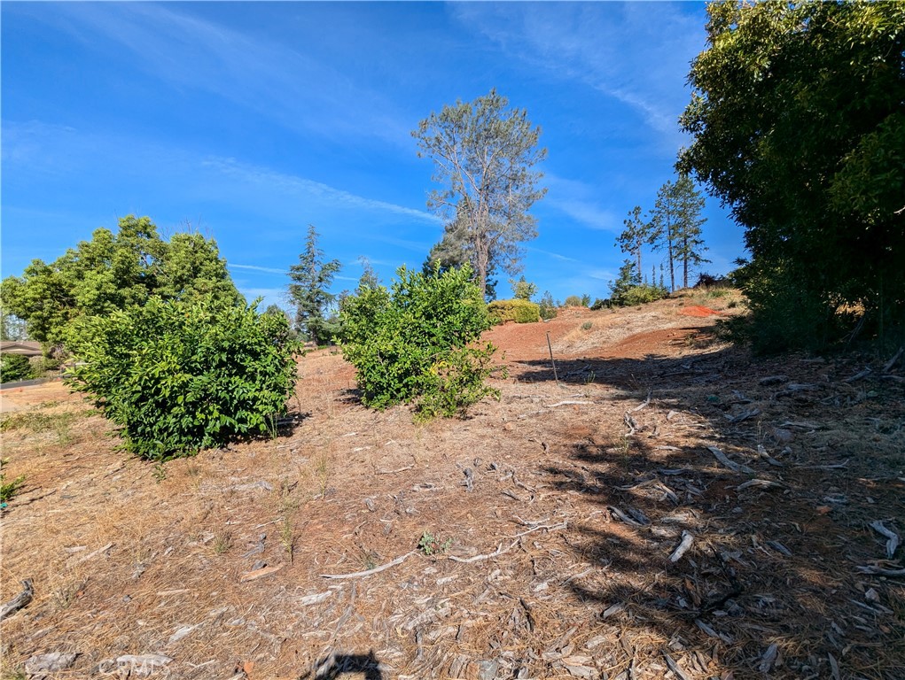 2376 Clearview Drive