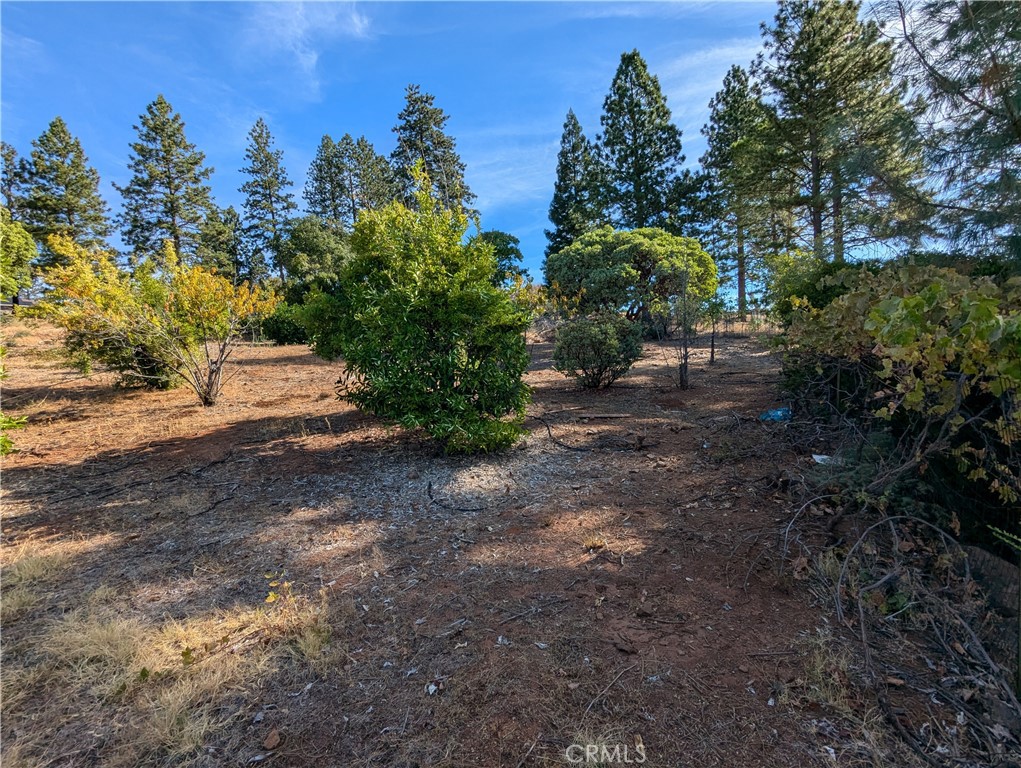 2376 Clearview Drive