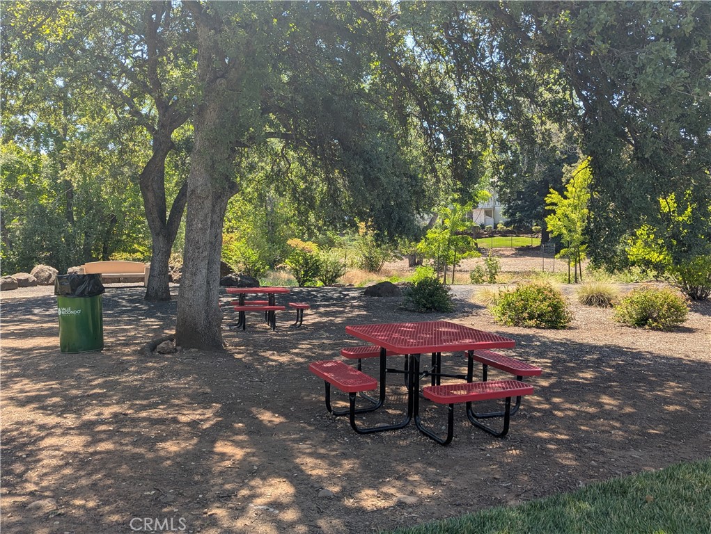 2891 Pennyroyal Drive