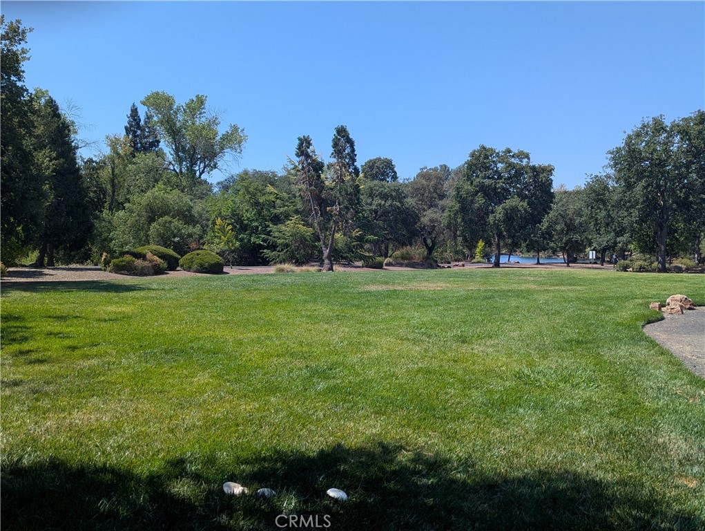 2891 Pennyroyal Drive