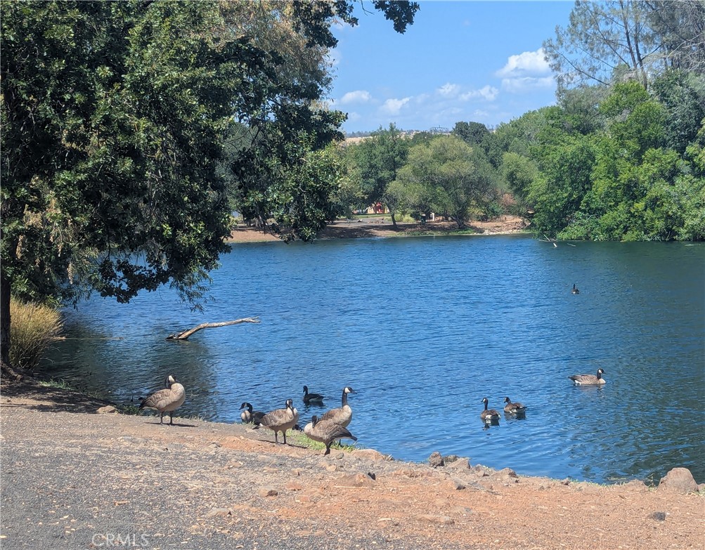 2891 Pennyroyal Drive