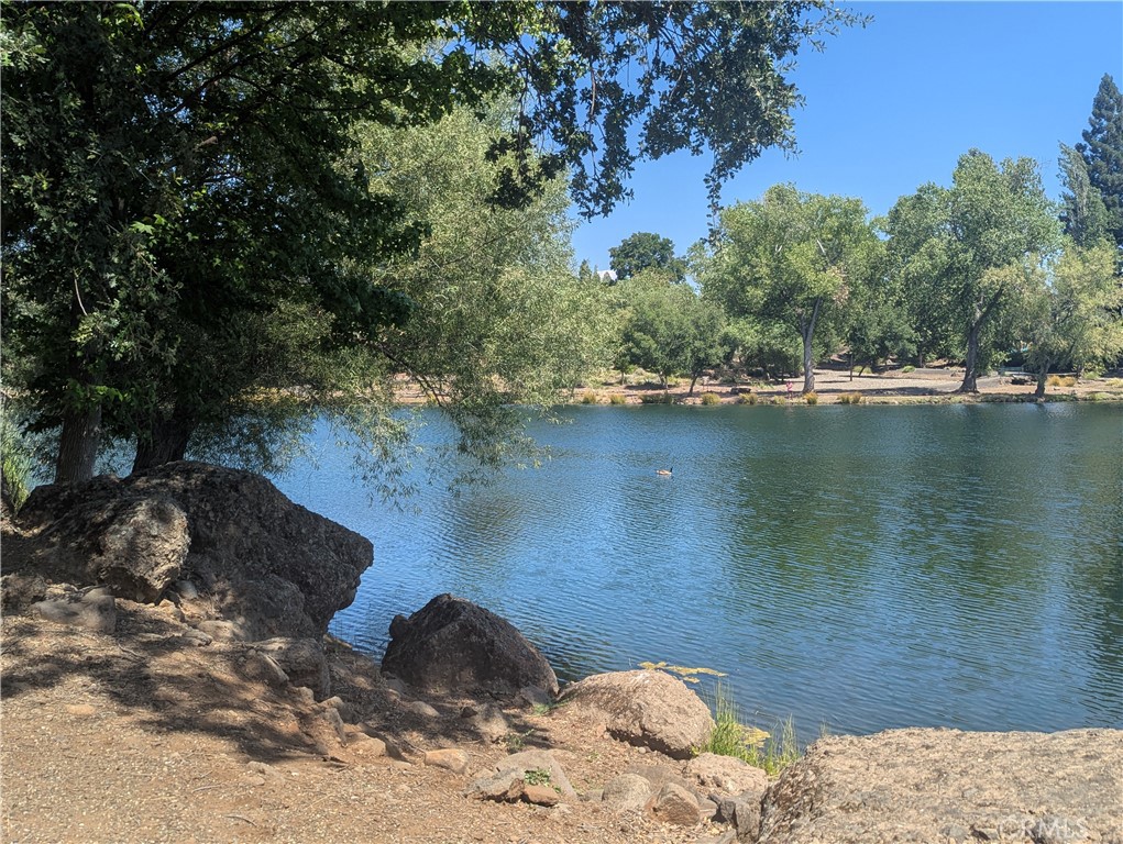 2891 Pennyroyal Drive