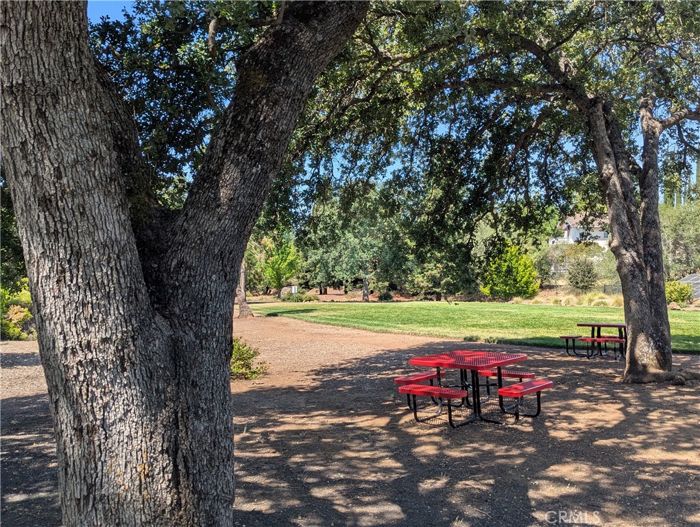 2891 Pennyroyal Drive