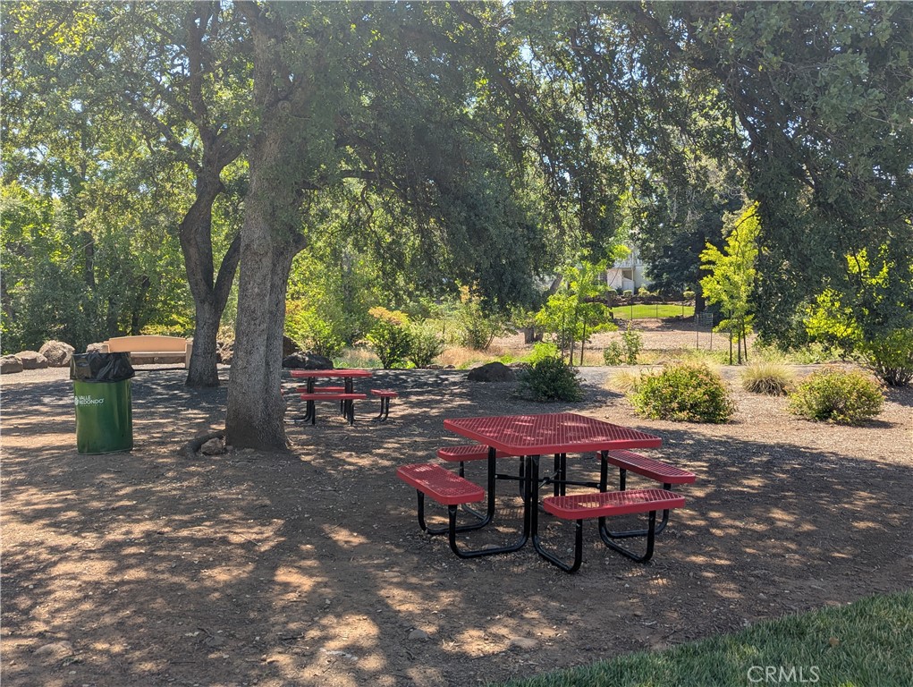 2891 Pennyroyal Drive