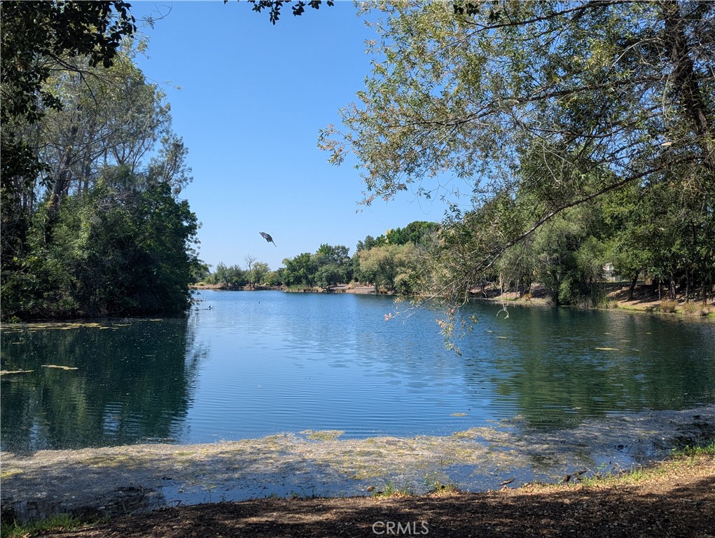 2891 Pennyroyal Drive