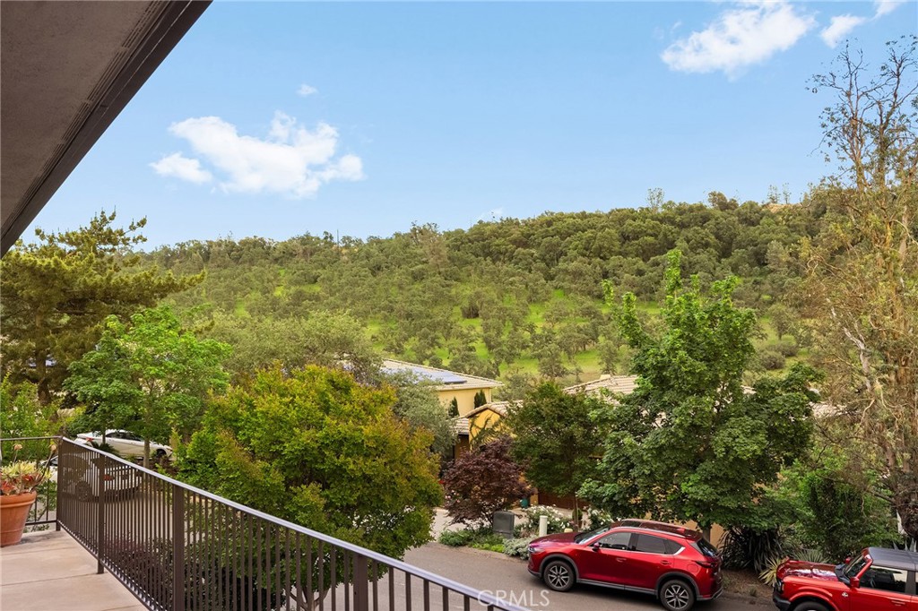 3560 Shadowtree