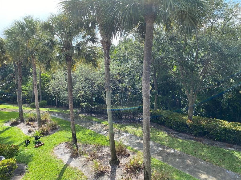 2896 Hidden Hills Road Unit: 1006