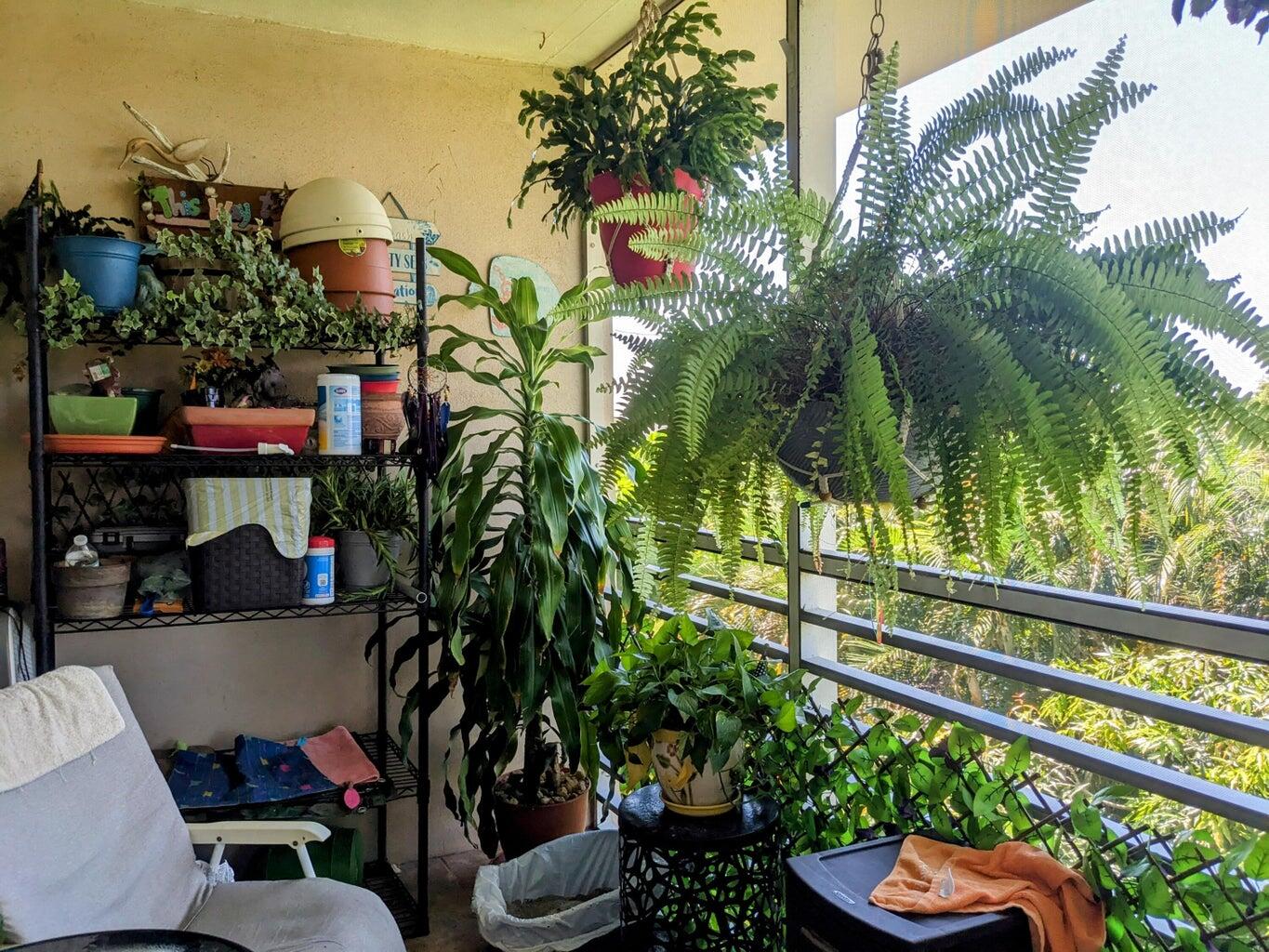 2812 Garden Drive 306