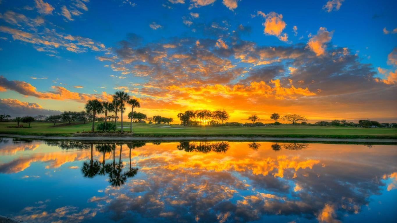 1203 Town Center Drive 202