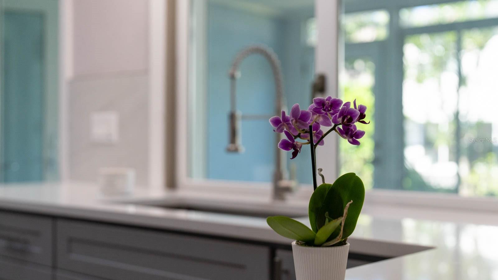 5630 VENETIAN BLVD NE