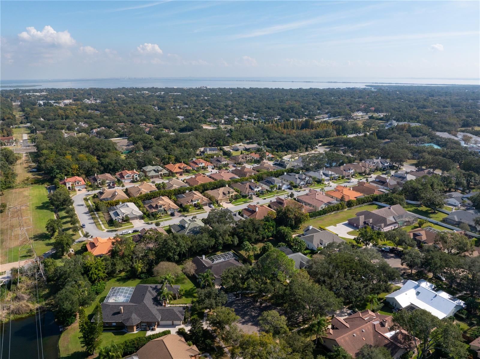 2166 SCARLET OAKS ST