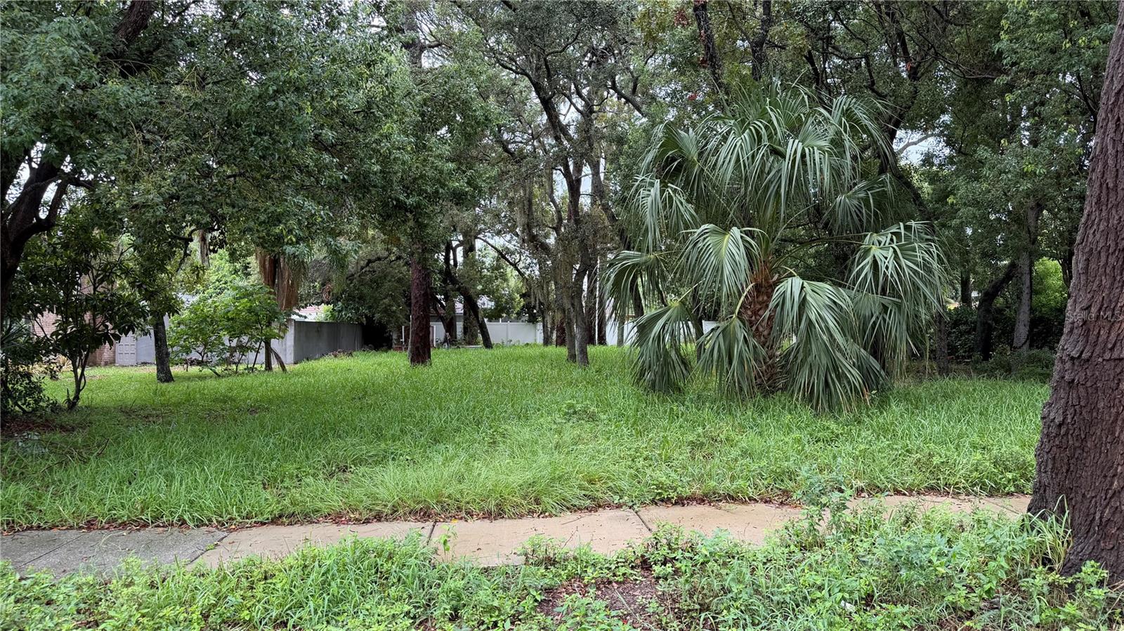 TALLAHASSEE DR