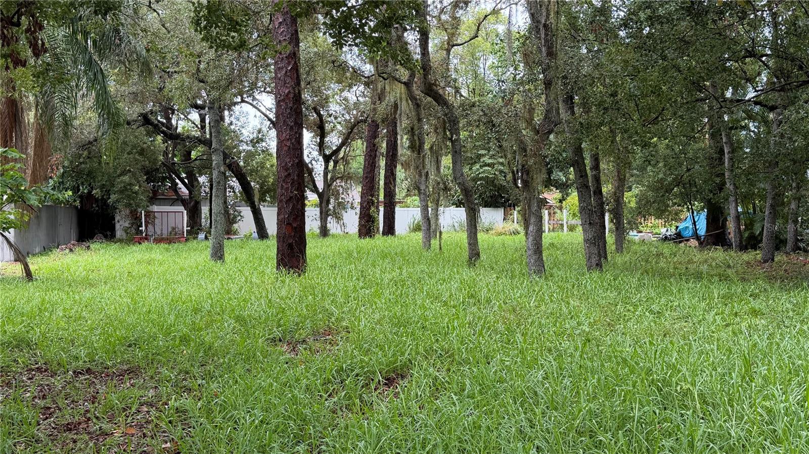 TALLAHASSEE DR