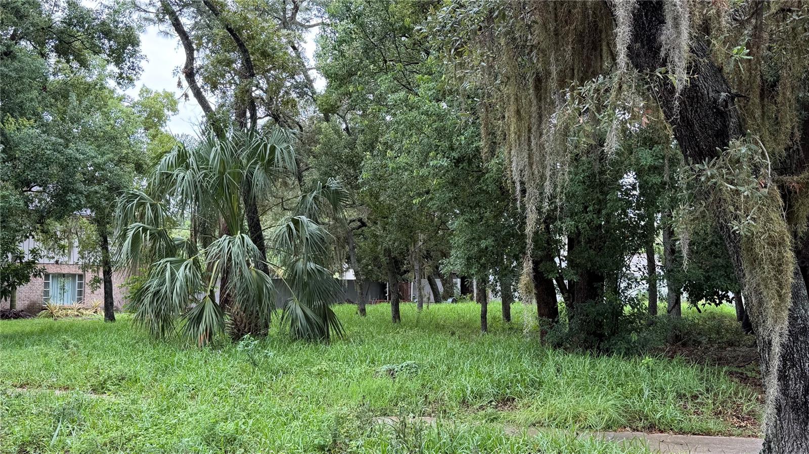 TALLAHASSEE DR